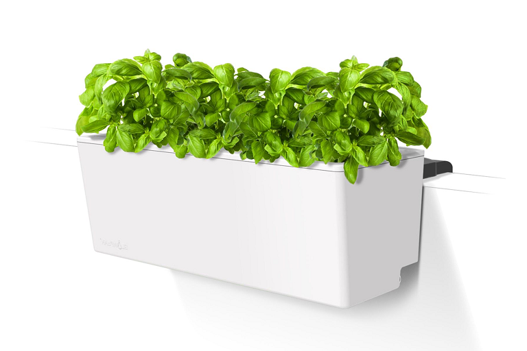  Self-watering Technology 
