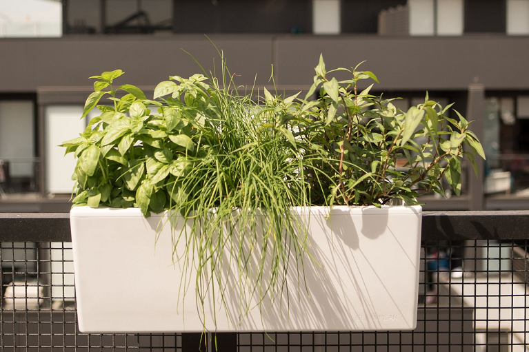  Sturdy and Eco-friendly Design 