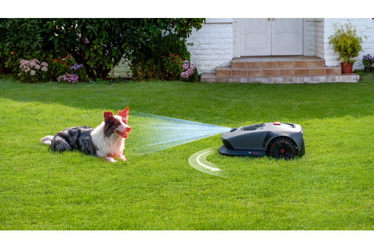 Advanced Detection