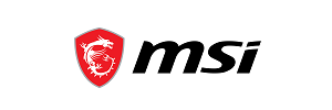 Lifespan Fitness Logo