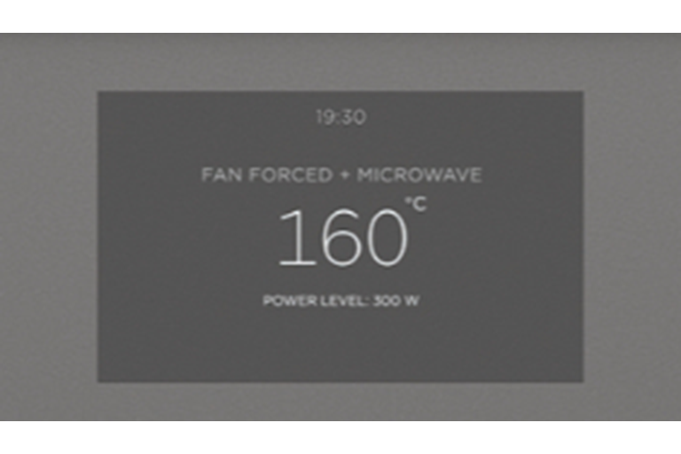  Microwave and Convection Oven Technology 