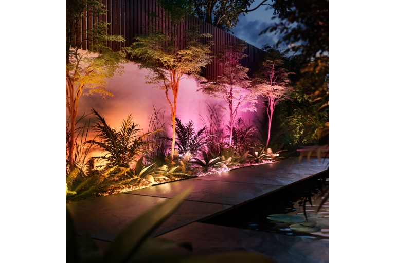  Create The Atmosphere 