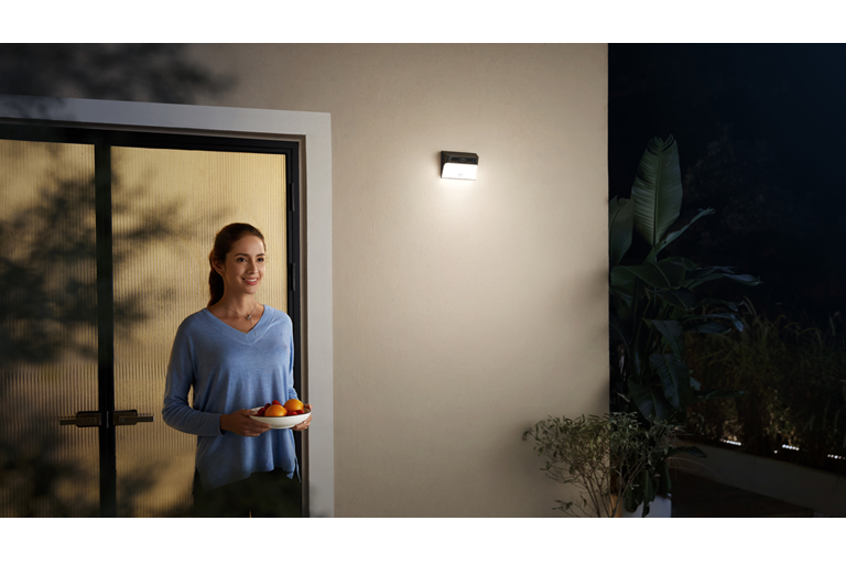  Smart Illumination 