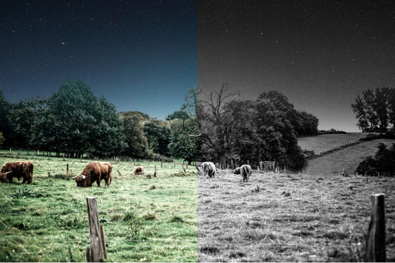  4K UHD and 360&deg; Views 