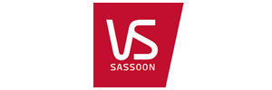 VS Logo