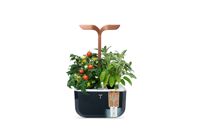  Automatic Silent Watering 