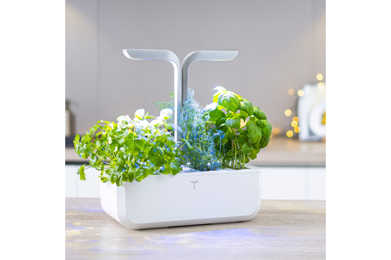  Smart Growing 