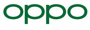 Lifespan Fitness Logo