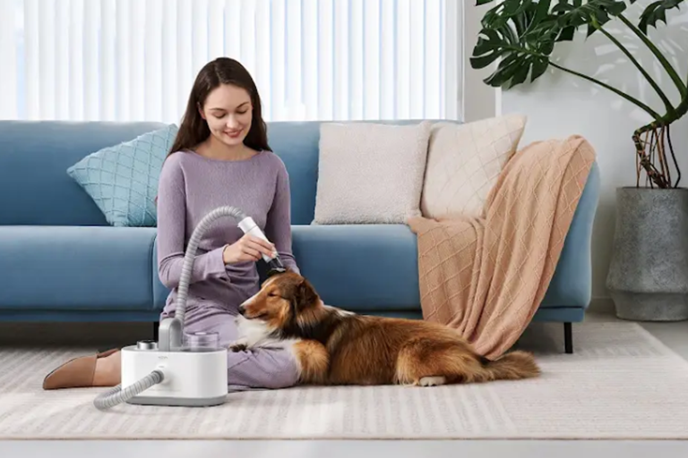  Create a Safe Environment for Your Pets 