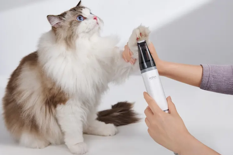  More Options for Pet Cleaning 